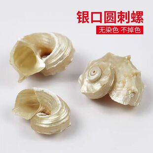 ����ؐ���y�ڈA���ݾ�ؐ�~�ľ�з��Q���~���쾰�[���ֹ�diy