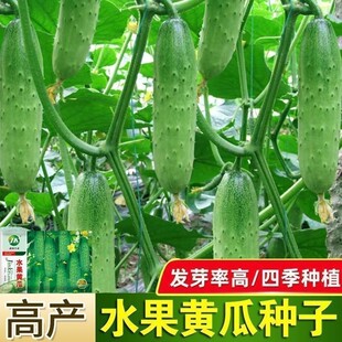 ˮ���S�ϷN�Ӹ߮a�ϱ������Ժ��S�ϴ��＾С�ˈ@�̨�ļ��߲˷N��