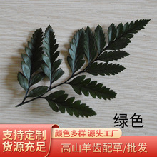 永生花资材配材批发  情人节圣诞保鲜花礼盒DIY配草花材 高山羊齿