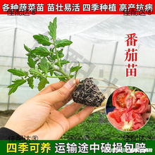 �m������t���緬�����}Ů�����������߲�������������������ˮ��
