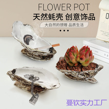 ��򺚤ؐ��������҃�С�P�ԱP���Ҹ�����ռ{�����b[��