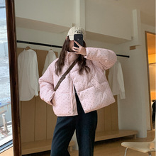 �nϵС�����c��q�޷�Ů�̿�2025�����¿�ٴ�����С������������