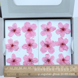 �Ȼ����M�ڴ���滨�����ѻ�12��һ��diy���z���ϰ���ر��r��