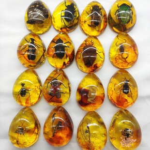 �S�����l��Ʒ�����x����˱�