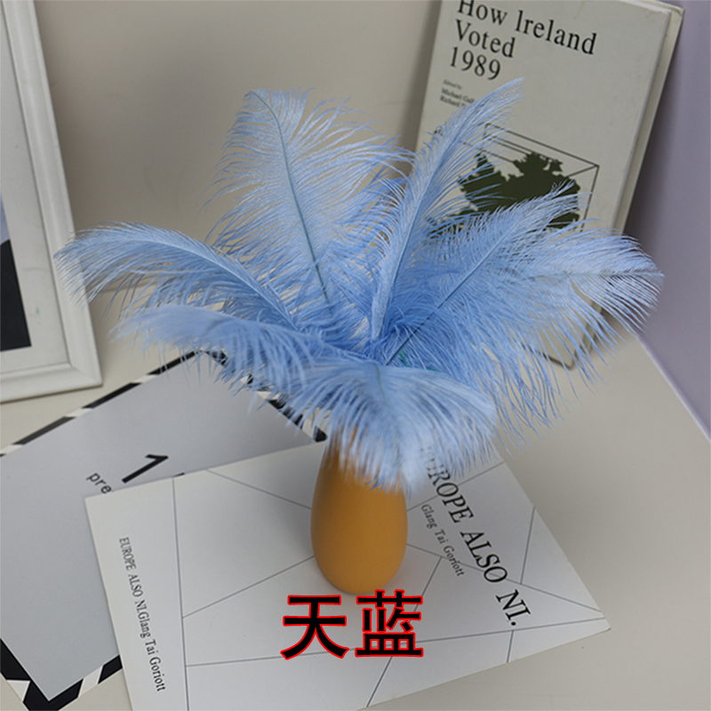 Plumas de avestruz bodas blancas de avestruz guía de plumas accesorios de fotos adornos rojo rosado en línea grandes plumas decoración