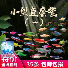 �t�G���~�Ꭷ�~С�͟��ƌ����~��ɏ���~��ˮ������ȸ�~���^�p�~