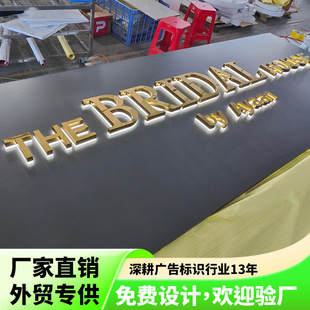 Led Stainless Steel Luminous Character Sign Door Resin Character Acrylic Backlight Logo Billboard Custom Neon Light