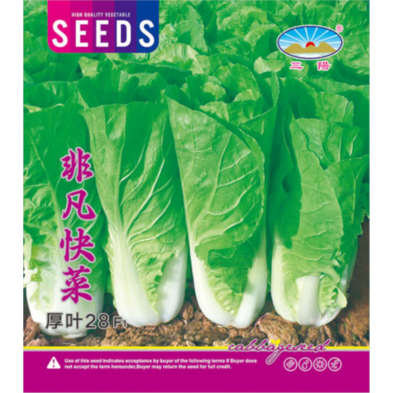 Fast-Growing Vegetables, Four-Season Creamy Bok Choy, Fresh and Tender for Balcony Gardens, Thick-Leaf 28 Sweet Fast-Growing Vegetables, Four-Season Fast-Growing Vegetable Seeds
