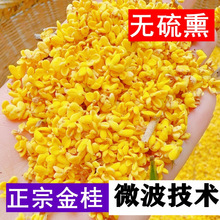 微波脱水干桂花 食用无硫金桂花干泡茶 桂林浓香冻干桂花散装商用