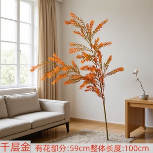 �羳�¿�ǧ�ӽ����Gֲ��c�廨�bݻ�ɭϵ�S�𻨻�����ʽ