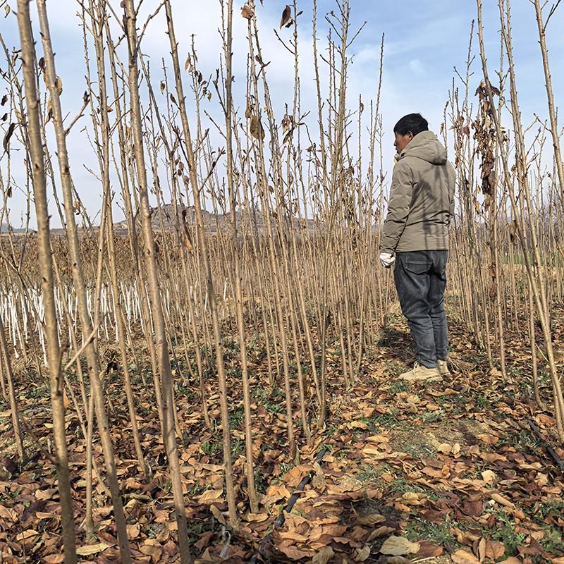 f3bb2b42-a81d-4fb9-b29c-a4991b