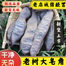 大皂角中药材新货老树整长皂角干大皂荚皂角个皂角段洗头洗发皂角