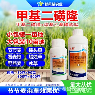 �׻�����¡ С�����݄��������������^���s�ݳ��݄� С�������~��