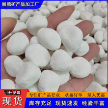 白石子厂家批发园林造景用白色鹅卵石 公园铺路装饰用白色石子