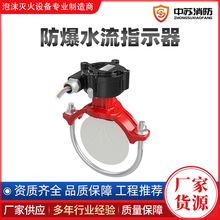 ����ˮ��ָʾ�������R��ˮ��ָʾ��ZSJZ 300-M-1.6EX