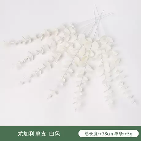 Eucalyptus Single-White