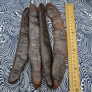 ������ ���ǂ� ���Ƕ� �䱳��ș��500g