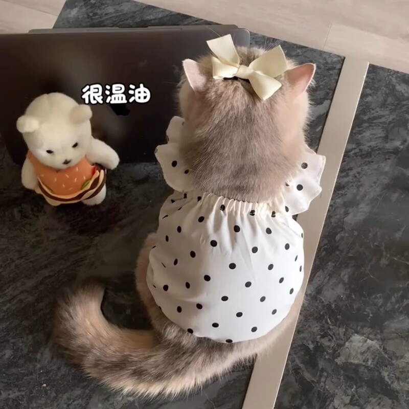 Cat Clothes Summer Suspender Dress Golden Gradient Ragdoll Pet Cat Princess Dress Thin Vest Anti-Shedding