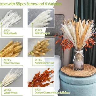 ���R�d�羳�ɻ�����С�JȔ��β��С����˹���滨�������L��ֲ��