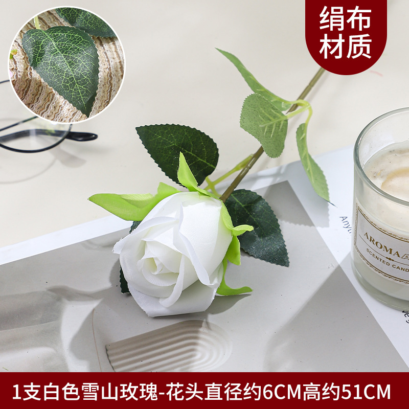 스노우 마운틴 로즈 1-화이트