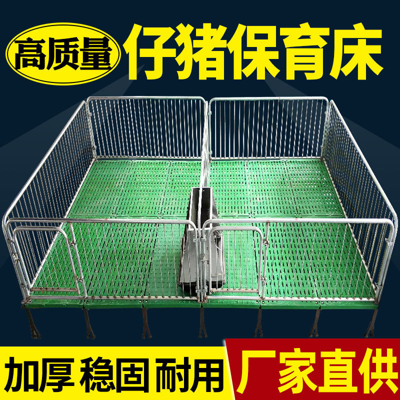 热镀锌保育栏小猪保育床全复合双体仔猪保育床猪用保育床