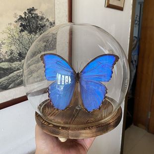 �挍�����˱��{�W���[���Y�������׃��@չʾ��ɒ�ɔ[���x�zӰ��