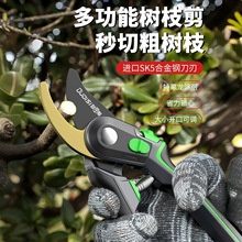 �W��˹��֦�� ʡ����֦���� �@ˇ���ܹ��䌣�ü��� �h�����P����