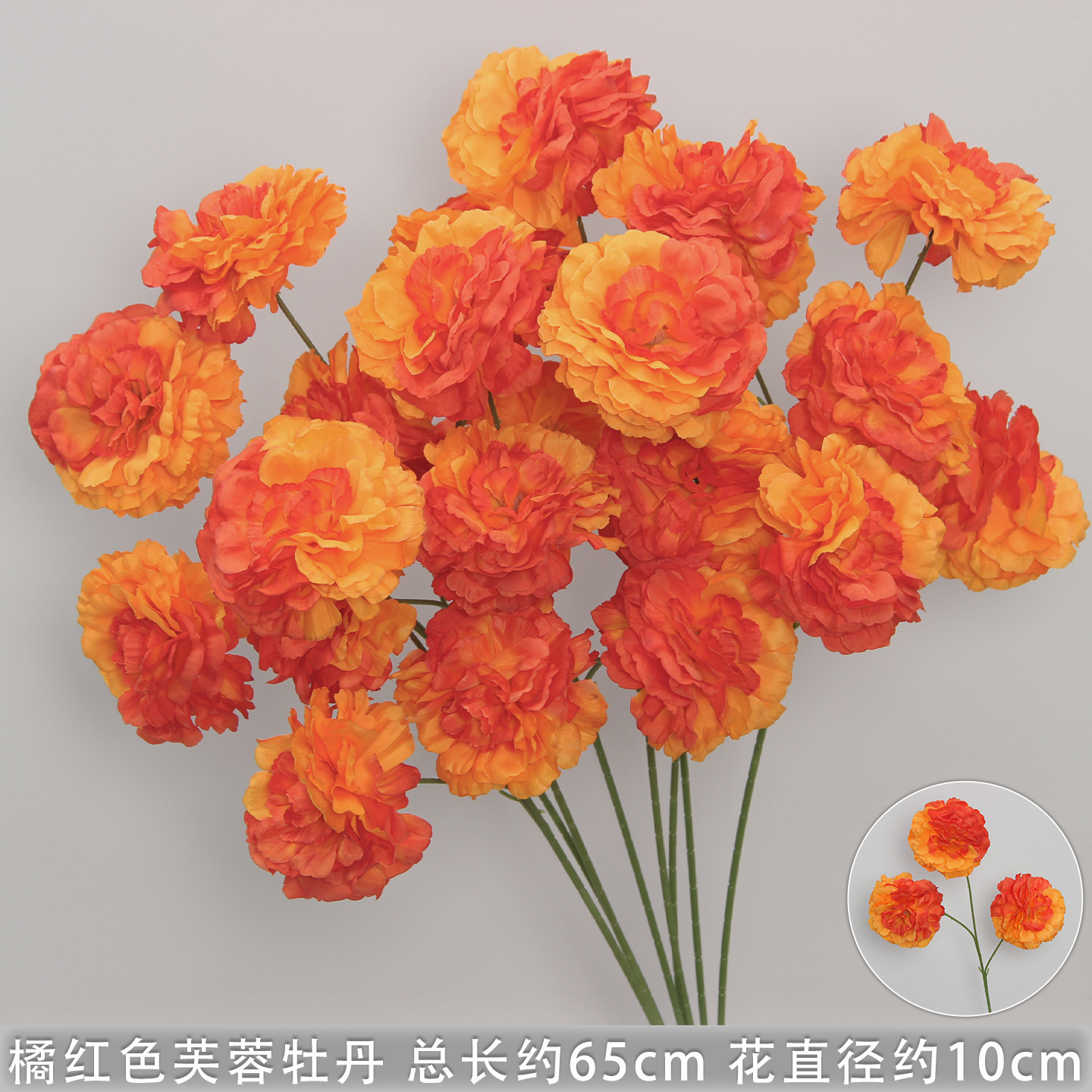 橘红色芙蓉牡丹/支