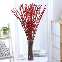 银柳真花鲜枝年宵花大红色银柳干花耐寒水培花卉易活干枝鲜枝银柳