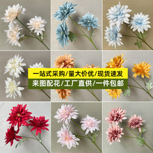 3�^��֧����������r�л�c���߻�Y��Ī�m��ɫϵ�ٻ� �S��ֱ�N