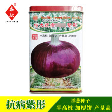 抗病紫彤洋葱种子250克紫红皮半高桩耐寒洋葱种子圆葱头种籽