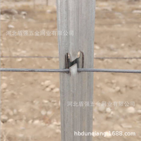 延安市富县金属葡萄杆子苹果葡萄园立柱猕猴桃架杆防鸟网立柱