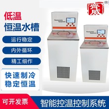 齐威低温恒温槽低温槽水箱低温制冷液循环泵反应浴恒温槽循环水槽