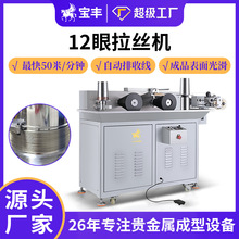 贵金属12眼拉丝机 金银丝铜线金属线材拉拔缩径设备 源头厂家直供