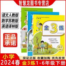 2024春小学金3练语文人教数学苏教英语译林一二三四五六年级下册