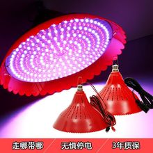 12V24V48V�ؔ���ҹ�е͉��ƿ�����r���i���ˮ����ʳ���t��׃ɫ