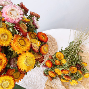 Yunnan small daisy dried flower bouquet living room furnishings sunflower dried flower real flower decorative ornaments ins air-dried