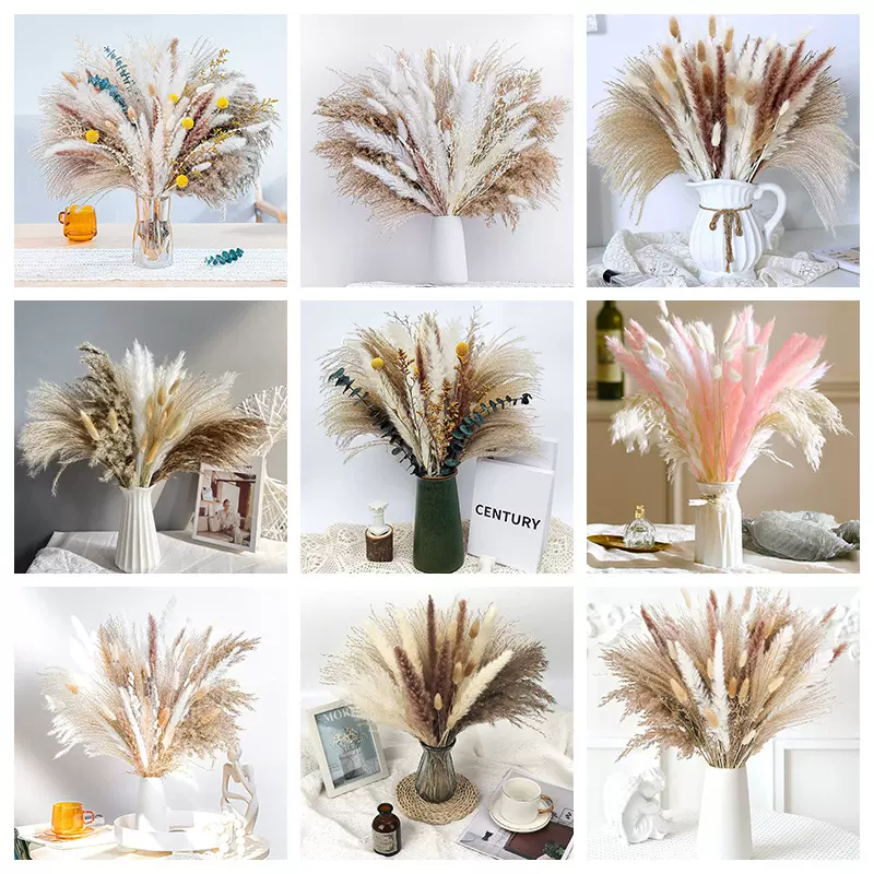 跨境芦苇干花潘帕斯套装 亚马逊复古拂尘蒲苇装饰芦苇花束批发