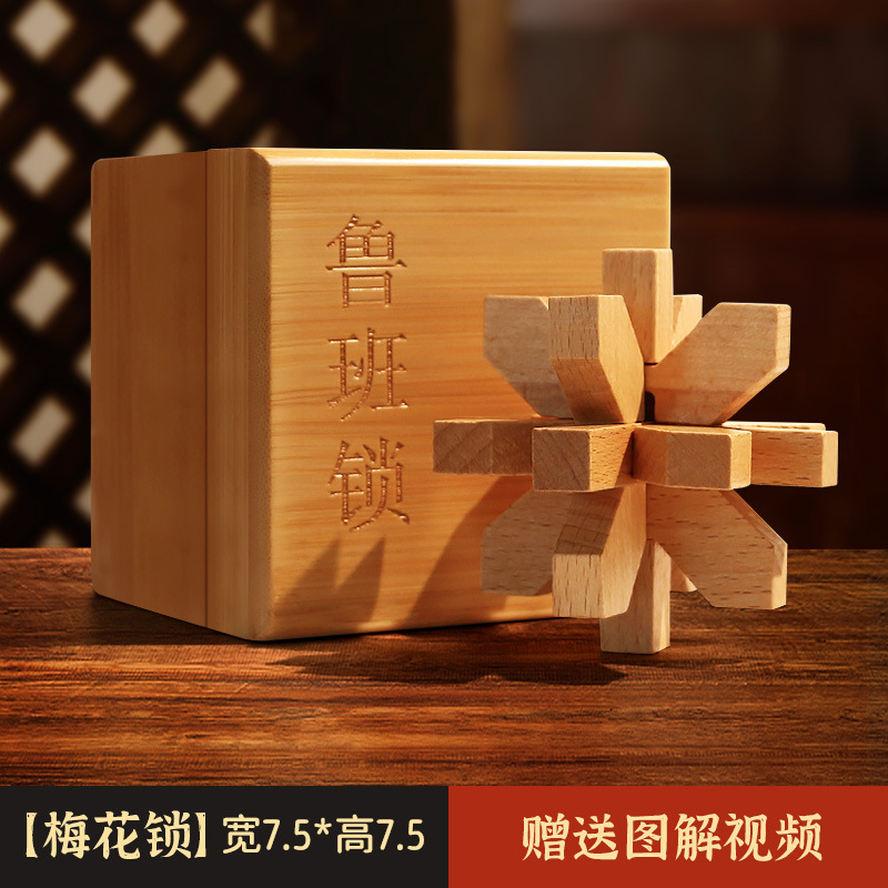 Luban Lock Kongming Lock Juego completo de bloques de construcción de espiga y espiga Juguetes educativos para niños de 8-12 años de edad, quema de cerebro intelectual 10