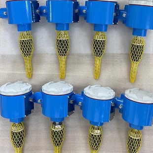 Integrated temperature transmitter Temperature transmitter Voltage and current output