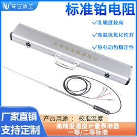二等标准铂电阻温度计高精度二等WZPB-2一等WZPB-1工作基准温度计