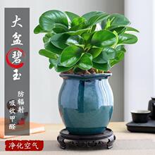 ���������҃ȾGֲ�辰����G���ռ�ȩ�ļ����������՚⾰����մ�