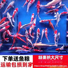 ������òݼ��N�t����ˮ�^�p���~�B�~���ɫ�͵�ˮˮ�t�\���^�p�~