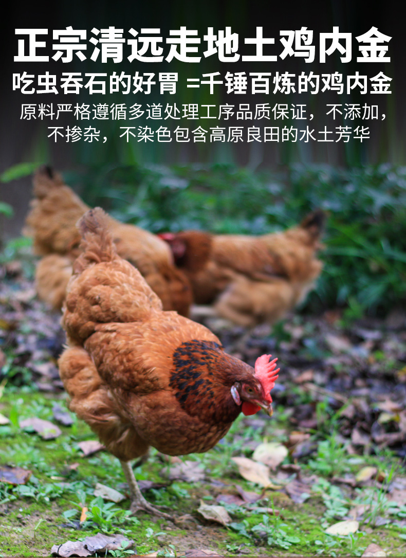 Chicken Gizzard Membrane Ji Nei Jin Dried Slices 500g Traditional Digestive Support Herb for Tea and Soup quality and texture