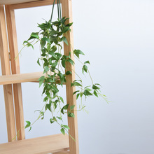 仿真铁线莲叶子室内家居空调管道缠绕绿植吊顶藤蔓装饰植物藤条