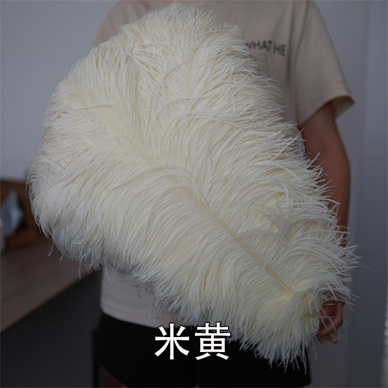 55 - 60cm plumas de avestruz de Sudáfrica al por mayor accesorios de ropa DIY accesorios materiales accesorios de diseño de boda lana de avestruz