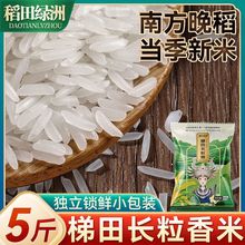 5斤2斤1斤小包装梯田长粒香米晚稻籼米湖北优质大米新米批发LD