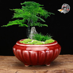 Pottery pot, succulent pot, ceramic pot, purple clay pot, seedling pot, red glaze pot, rough pottery office desk balcony wholesale