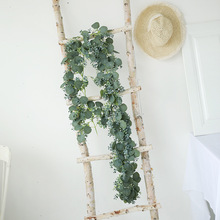 跨境热销 仿真绿植藤条藤蔓 尤加利桉树藤 园林 婚庆装饰布置道具