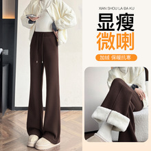 ���޼Ӻ������΢����Ů����2026�¿��������Ŵ�����ȿ���23603